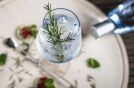 Gin Tasting – Wacholderschnaps Verkostung in Berlin