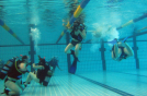 Schnuppertauchen Indoor – Tauchen lernen im Pool in Hochheim am Main, Darmstadt, Hessen